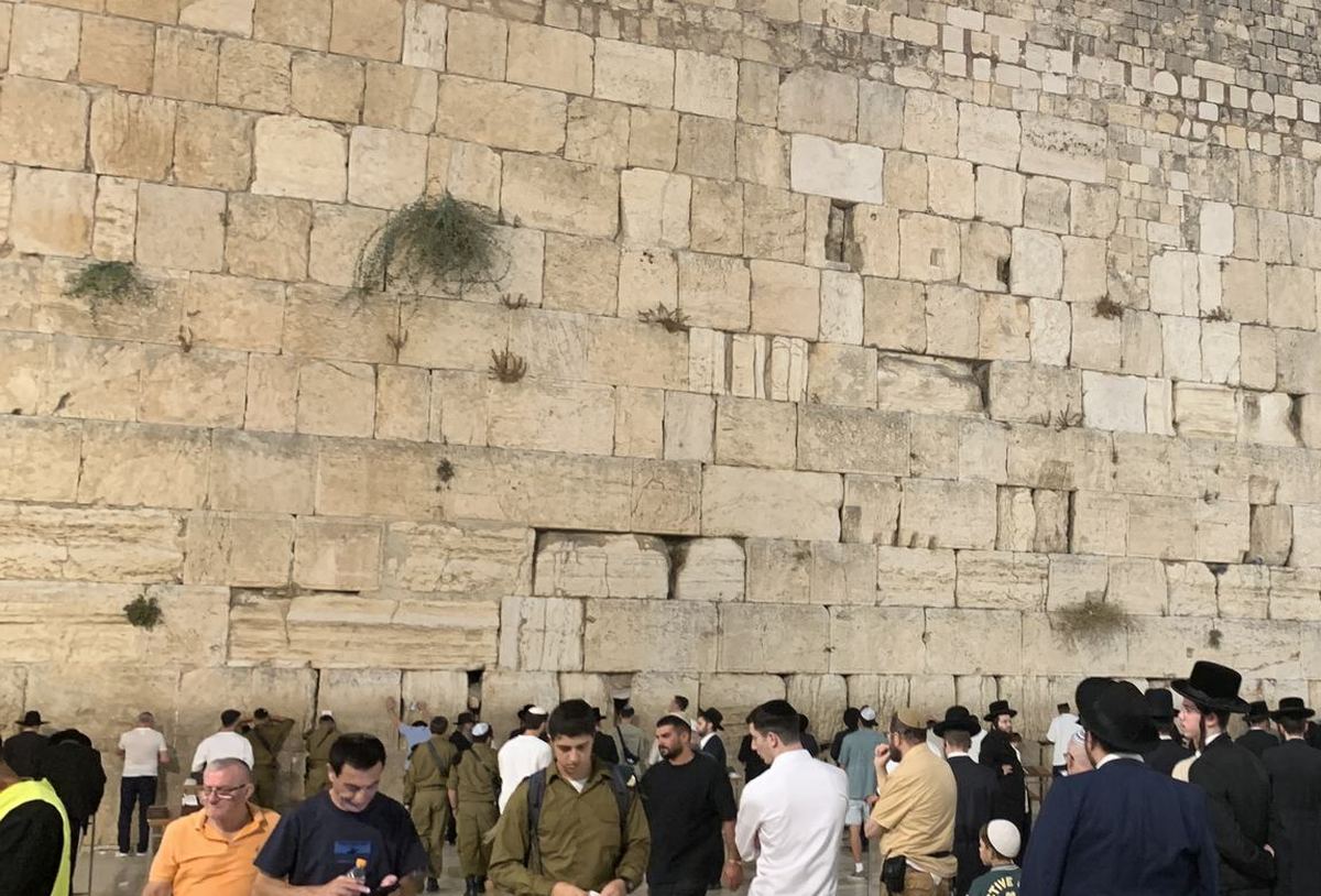 Caper bushes growing straight out of the joints of the Western Wall, high above the crowd.